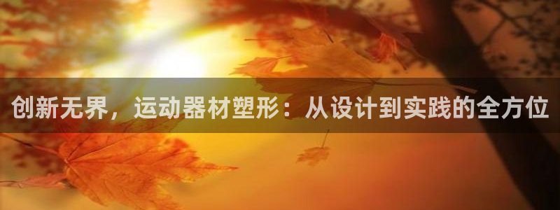 意昂体育4娱乐:创新无界,运动器材塑形:从设计到实践的全方位